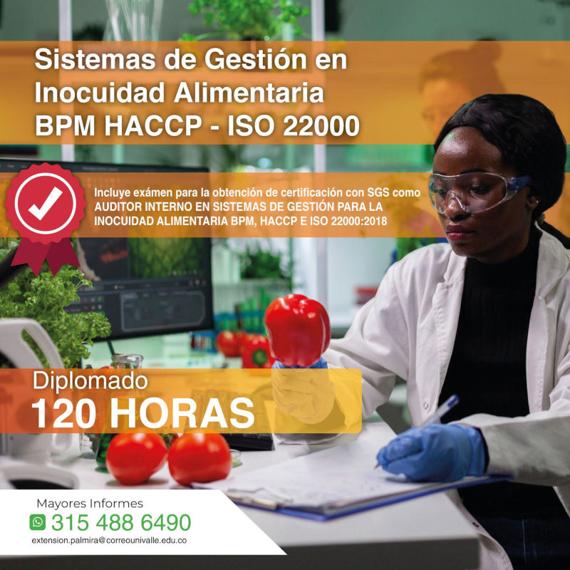 Extensión y Proyección Social