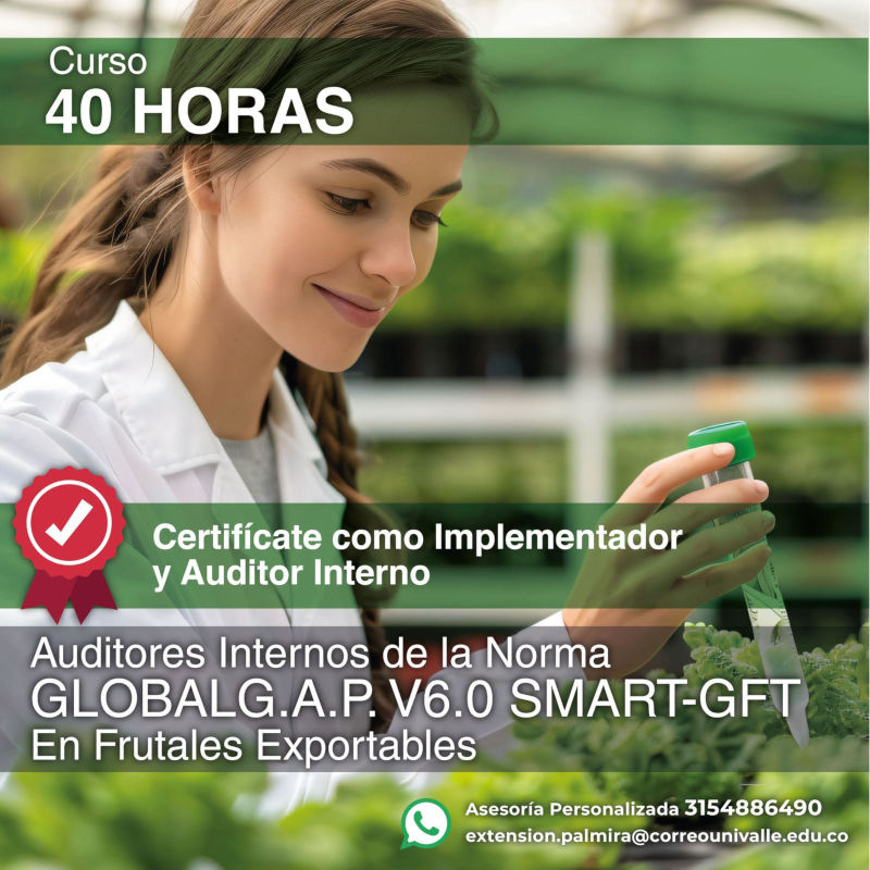 Extensión y Proyección Social