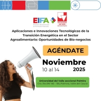 Escuela Internacional de Formaci&oacute;n Avanzada - EIFA 2025, Seccional Palmira