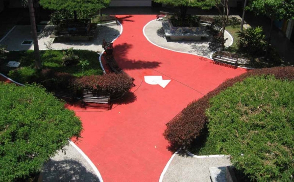 Informe Rendici&oacute;n de Cuentas 2024