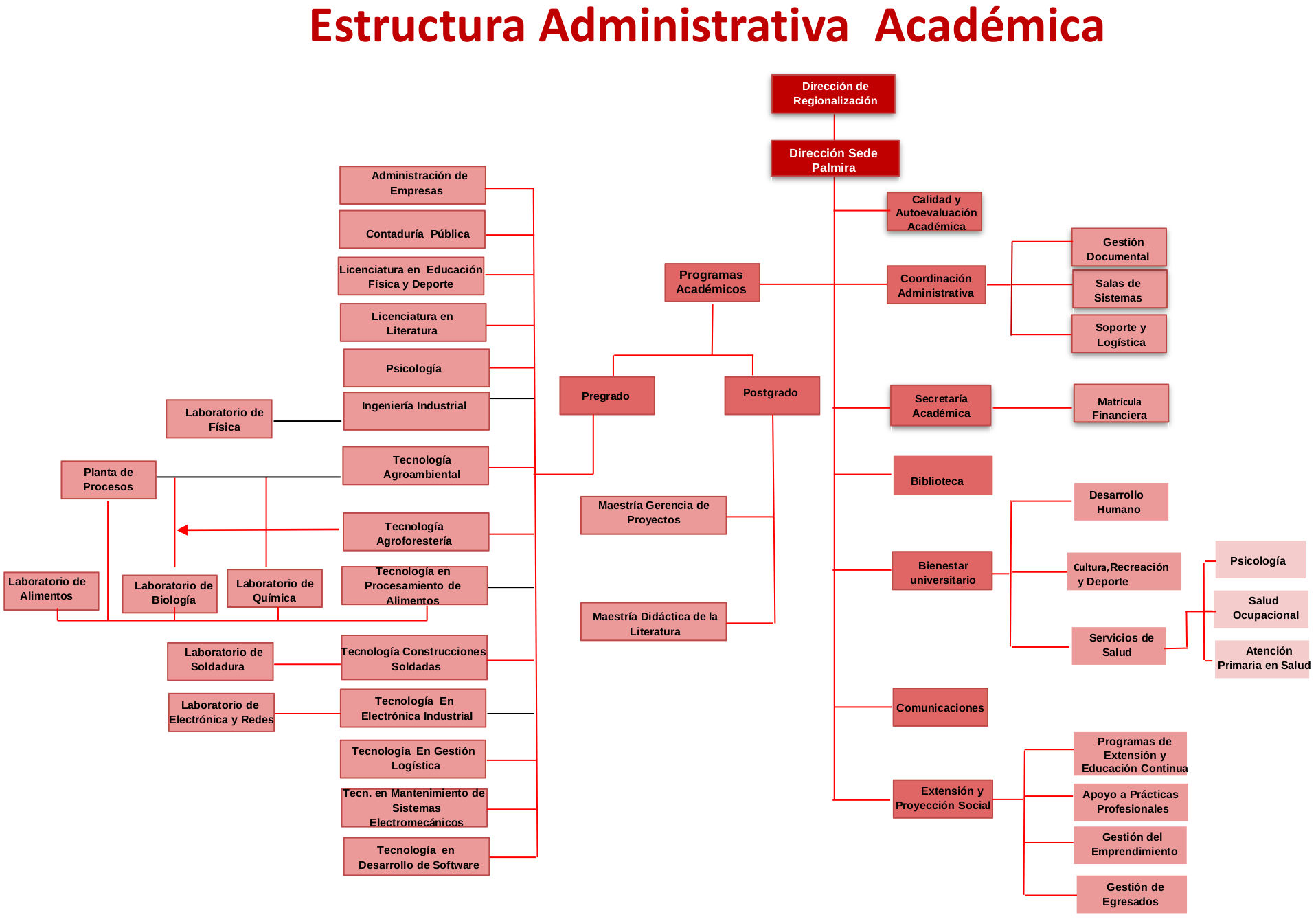 Organigrama Univalle Palmira